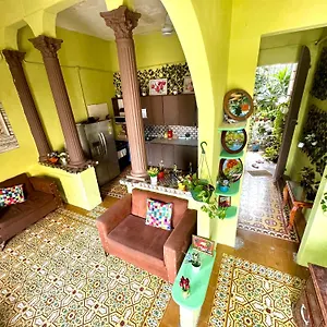 book here
