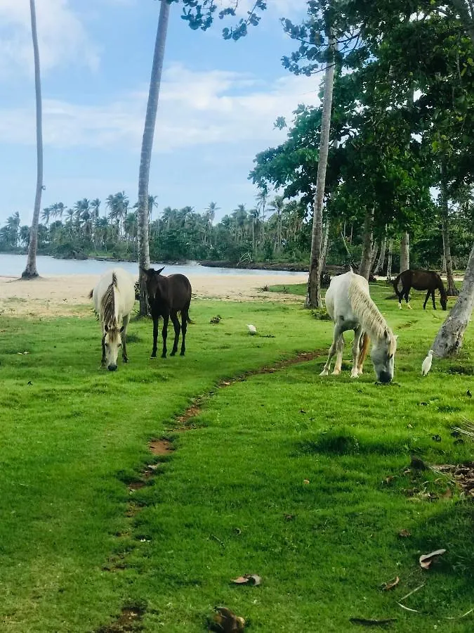 Oasis En La Naturaleza Rancho Alto Bonito Las Galeras 0*,