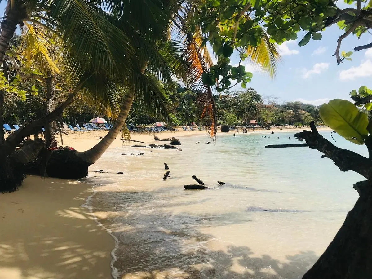 Oasis En La Naturaleza Rancho Alto Bonito Las Galeras République dominicaine