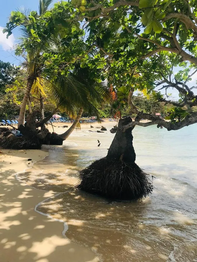Oasis En La Naturaleza Rancho Alto Bonito Las Galeras